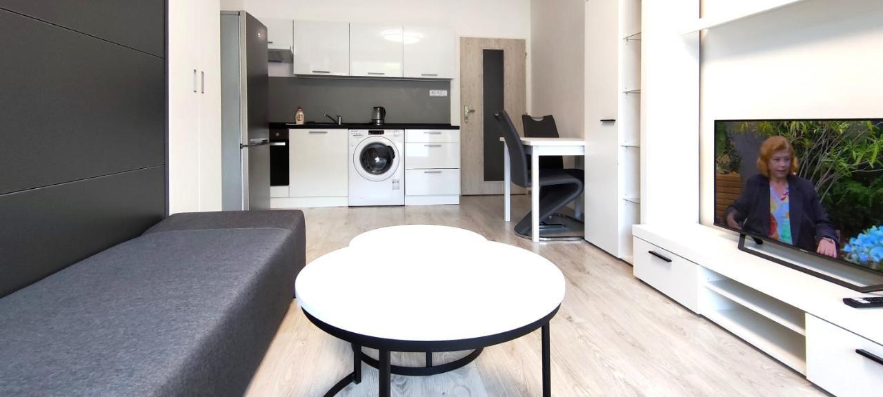 Utulny V Centru, S Krasnym Vyhledem Apartment *
