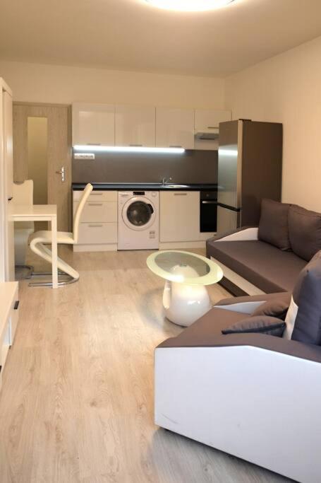 Apartment Utulny V Centru, S Krasnym Vyhledem Decin