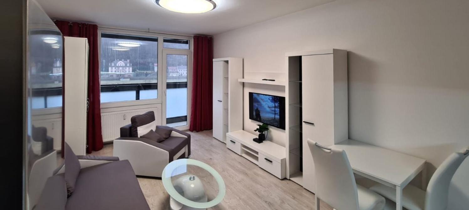 Utulny V Centru, S Krasnym Vyhledem Apartment Decin